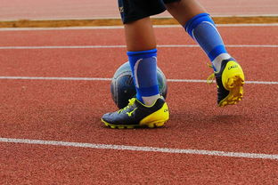 专注体育场馆建设新闻内容传播的平台，专业体育场馆