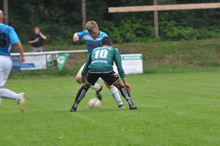 五大联赛外援政策影响战术部署与引援策略，五大联赛能上几个外援