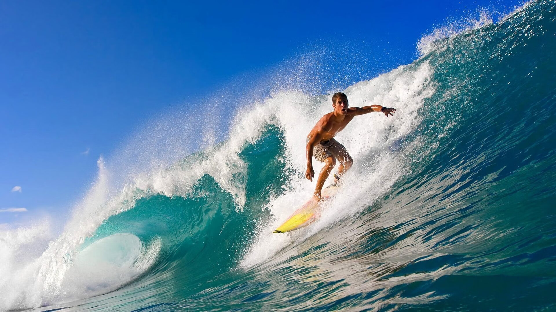 新闻中心深度报道奥运背后的故事，奥运新闻百科